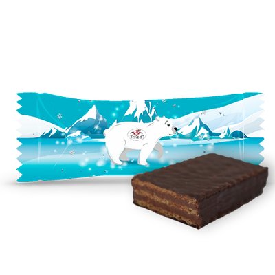 Конфеты шоколадные Северный медведь Доминик, 100 г 3676660 фото