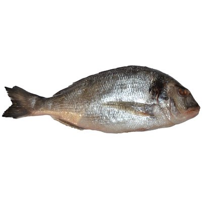 Рыба охлажденная Дорадо 400-600 г, 100 г 2651410 фото