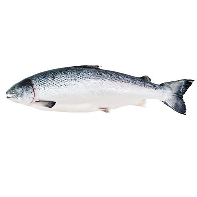 Рыба охлажденная Сёмга 5-6 кг, 100 г 2651390 фото