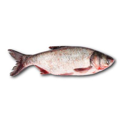 Рыба охлажденная Толстолоб большой, 100 г 2339700 фото