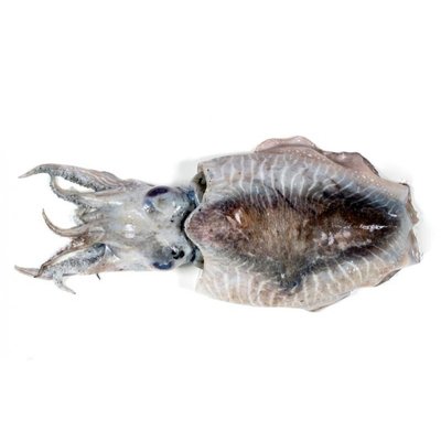 Каракатица с/м 13-20 см, 100 г 4104180 фото